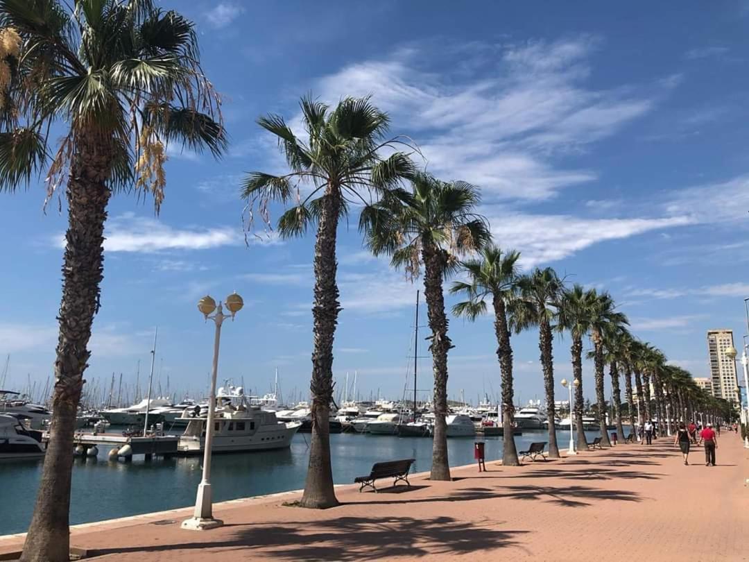Apartamento Casaturis En El Corazon De Alicante A118 Eksteriør billede